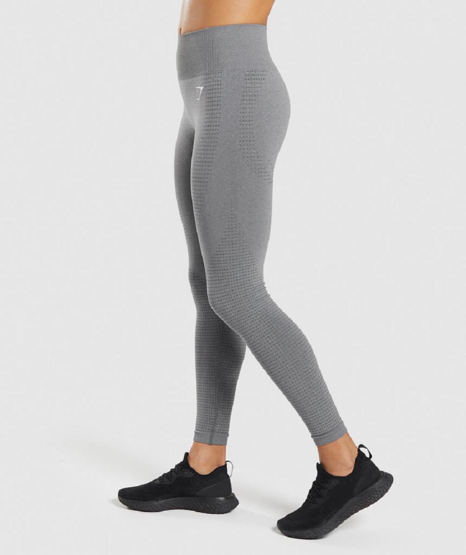 Gymshark Vital Seamless 2.0 Ženske Tajice Sive | HR 4025OKI